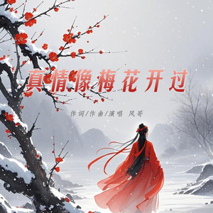 真情像梅花开过