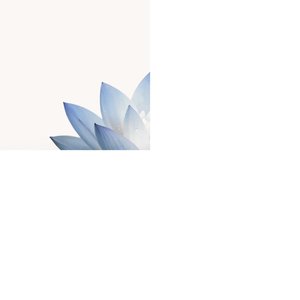 Beholding Peace Part 1
