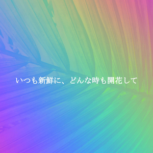 Cool Fly Summer