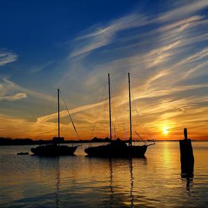 A Thousand Roses Ache