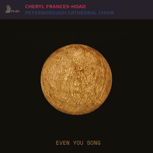 Even You Song: XIII. Organ Voluntary "Where Does Your Faith Lie?"