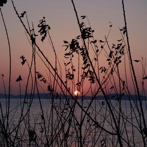 过往不再（Prod by ZS Beatz）