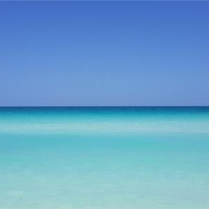 New Song Under The Sea (Instrumental) (Instrumental)