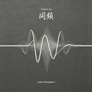 同频回音