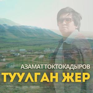 Туулган жер