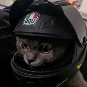 漠河舞厅（翻自 柳爽）