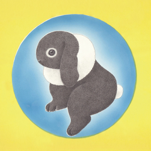 夜を照らせ (β)