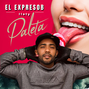 paleta