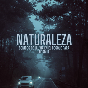 Día Del Mundo Mojado