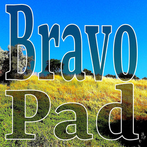 Bravo (Festival Mix)