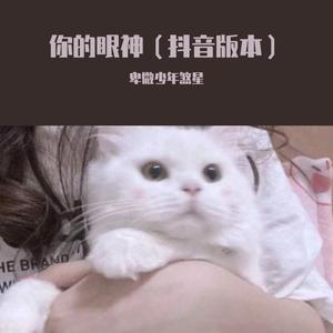 你的眼神（抖音版本）