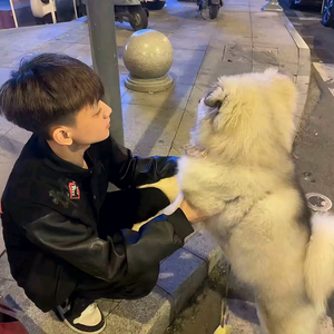 《珍惜高中恋爱》