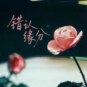 错认缘分