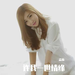 许我一世情缘