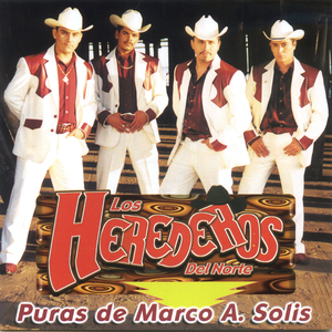 Cómo Fui a Enamorarme de Ti