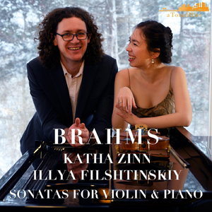 Sonata for Violin and Piano No. 1 in G Major, Op. 78: I. Vivace ma non troppo