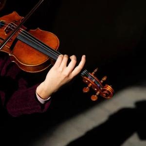 Violin