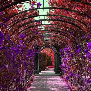 Pattern Of The Ocean