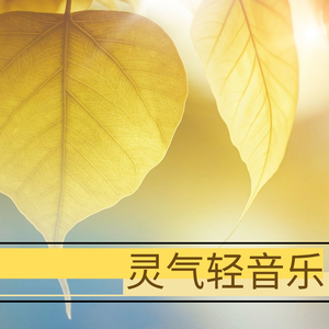灵气轻音乐