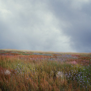 আর রহমান আল্লামাল কুরআন