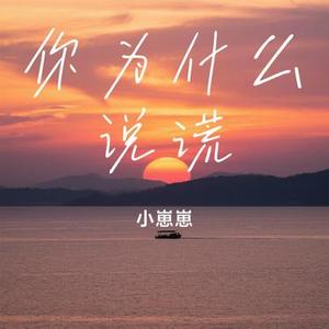 你为什么说谎 (Cover 丁当)