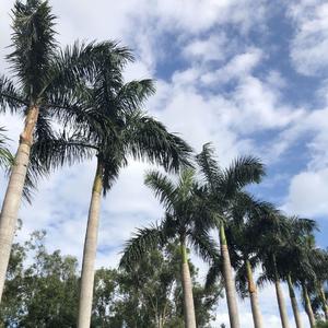 往更好的地方奔跑