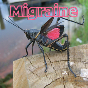 Migraine - 52 - Grasshopper 00_38_38 to 00_44_44