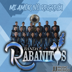 Mi Amor No Regresa