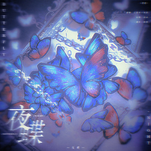 夜蝶