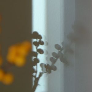 大鱼 （民乐合奏版/箜篌/中阮/古琴）