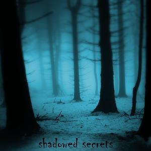 Shadowed Secrets