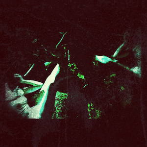 When My Muse Didn't Came