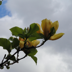 Have You Ever Wondered?