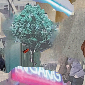 Efke Rennebip Aloofkis