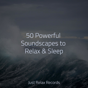 Tranquil Enshrouding Bliss