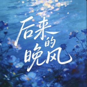 后来的晚风