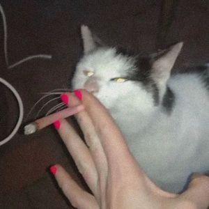 自閉戀愛症候群[Prod by BECU BEATZ]