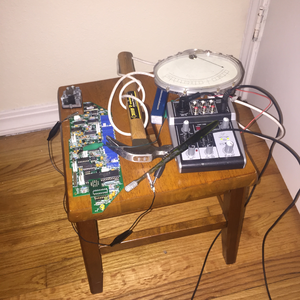 Mosl Mais, Horns, Synonym