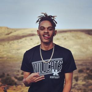 WildKat