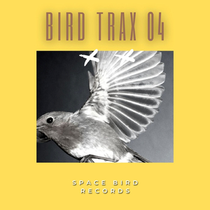 Tronic (Space Bird Mix)