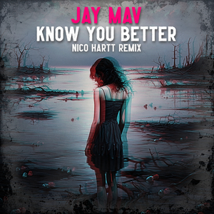 Know You Better (Nico Hartt Remix)