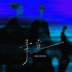 寻觅 (DJ巧凤版)1.2x升调版