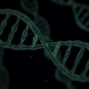 Tafra (feat. Moha Futuriste)