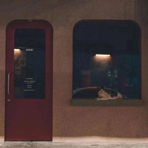 白月光与朱砂痣_Winter（翻自 水源小樱）