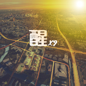 醒2017（Vip Mix）