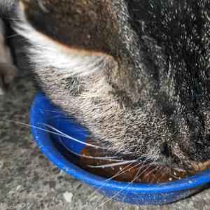 всьо на раз