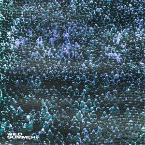 Wild Summer