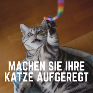 Ruhende Katzen