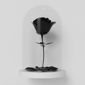 Nossa Regra (Rosa Negra) (Instrumental)