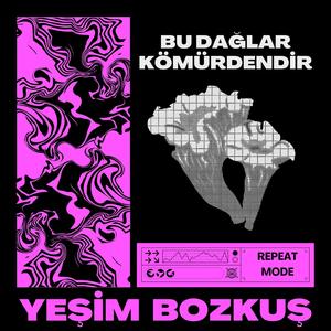 Bu Dağlar Kömürdendir